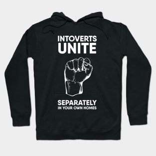 Introverts unite separately in your own homes Hoodie